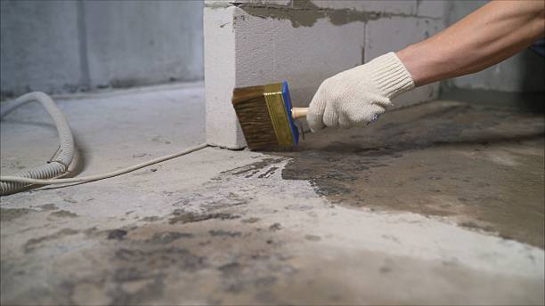 Top rated local Waterproofing specialists in Vinemont, AL